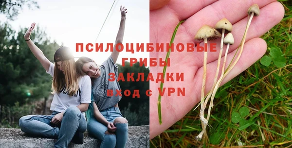 дмт Алзамай