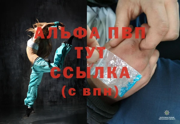 дмт Алзамай