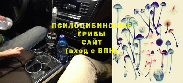 дмт Алзамай